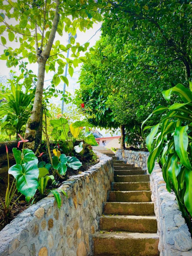 Ecohotel Brisas Del Amani Norcasia エクステリア 写真